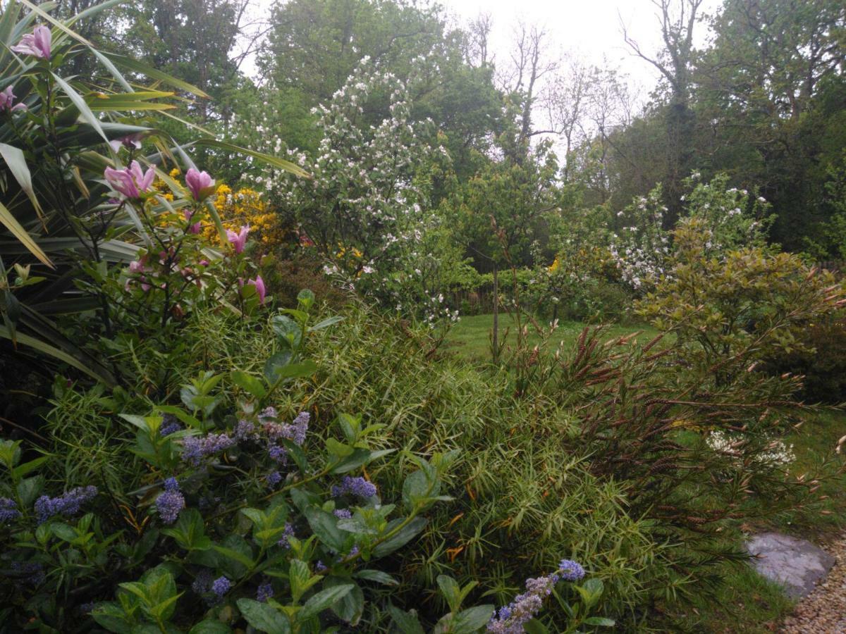 Bed and Breakfast Les Muscaris Le Minihic-sur-Rance Exterior foto